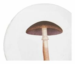 Astier De Villatte Mauve Champignon Plate -Home Decoration Sales Shop HG157864 alt1