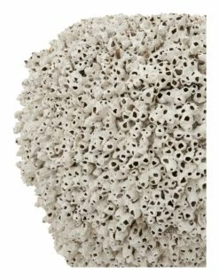 Melbourne Vases 24 Melbourne Vases -Home Decoration Sales Shop HG159083 alt3