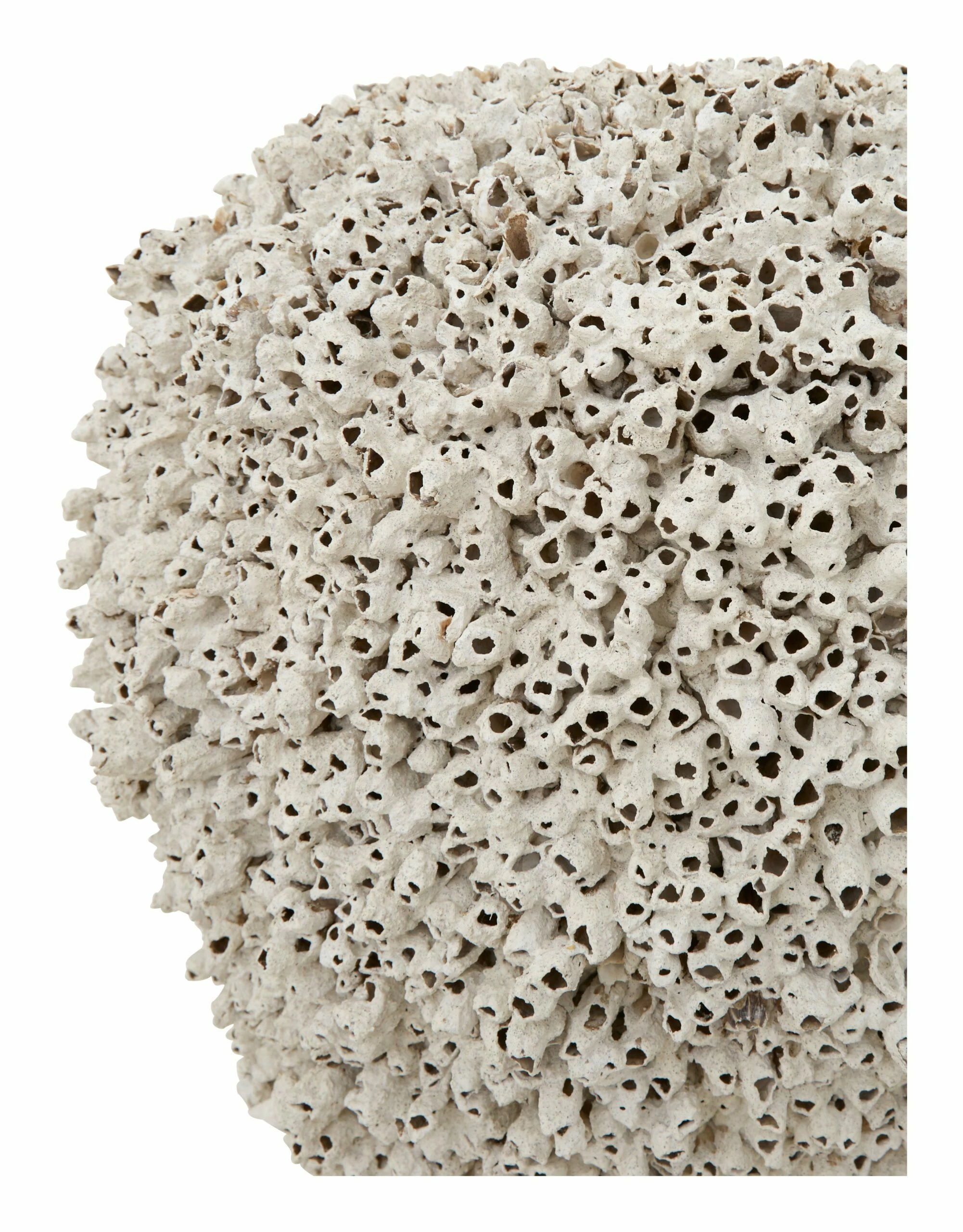 Melbourne Vases 13 Melbourne Vases - Image 11