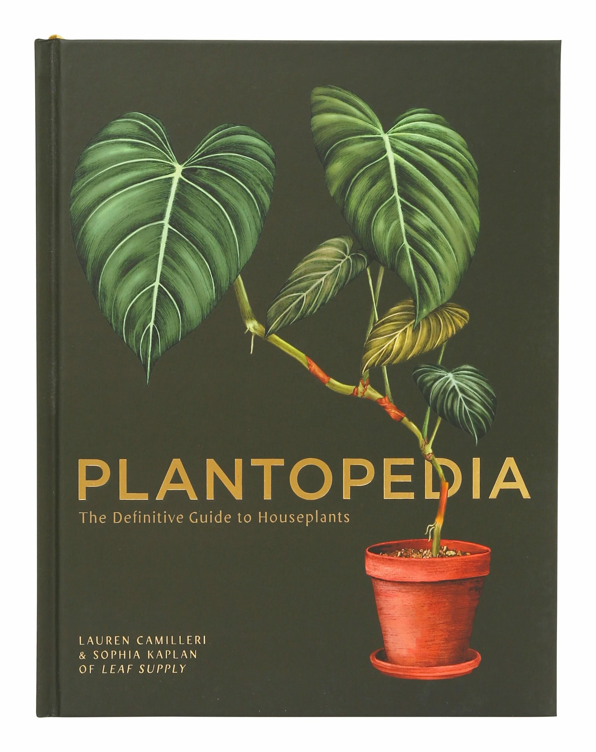 Plantopedia 3 Plantopedia