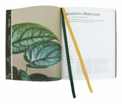 Plantopedia 11 Plantopedia -Home Decoration Sales Shop HG160270 alt1