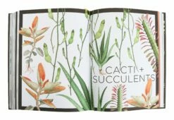 Plantopedia 13 Plantopedia -Home Decoration Sales Shop HG160270 alt3