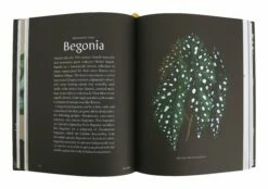 Plantopedia 14 Plantopedia -Home Decoration Sales Shop HG160270 alt4