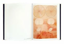 Hilma Af Klint: The Paintings For The Temple -Home Decoration Sales Shop HG160387 alt4