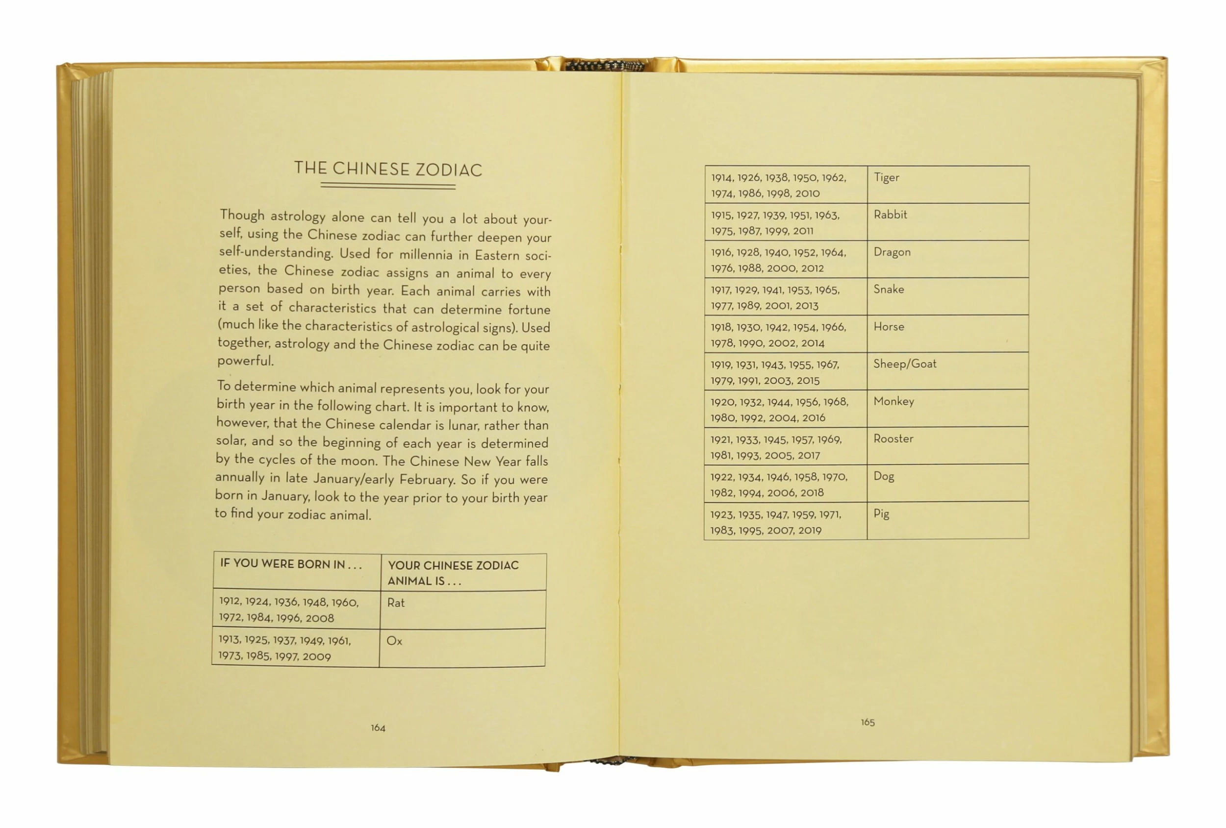 The Golden Book Of Fortune Telling 7 The Golden Book Of Fortune Telling - Image 5