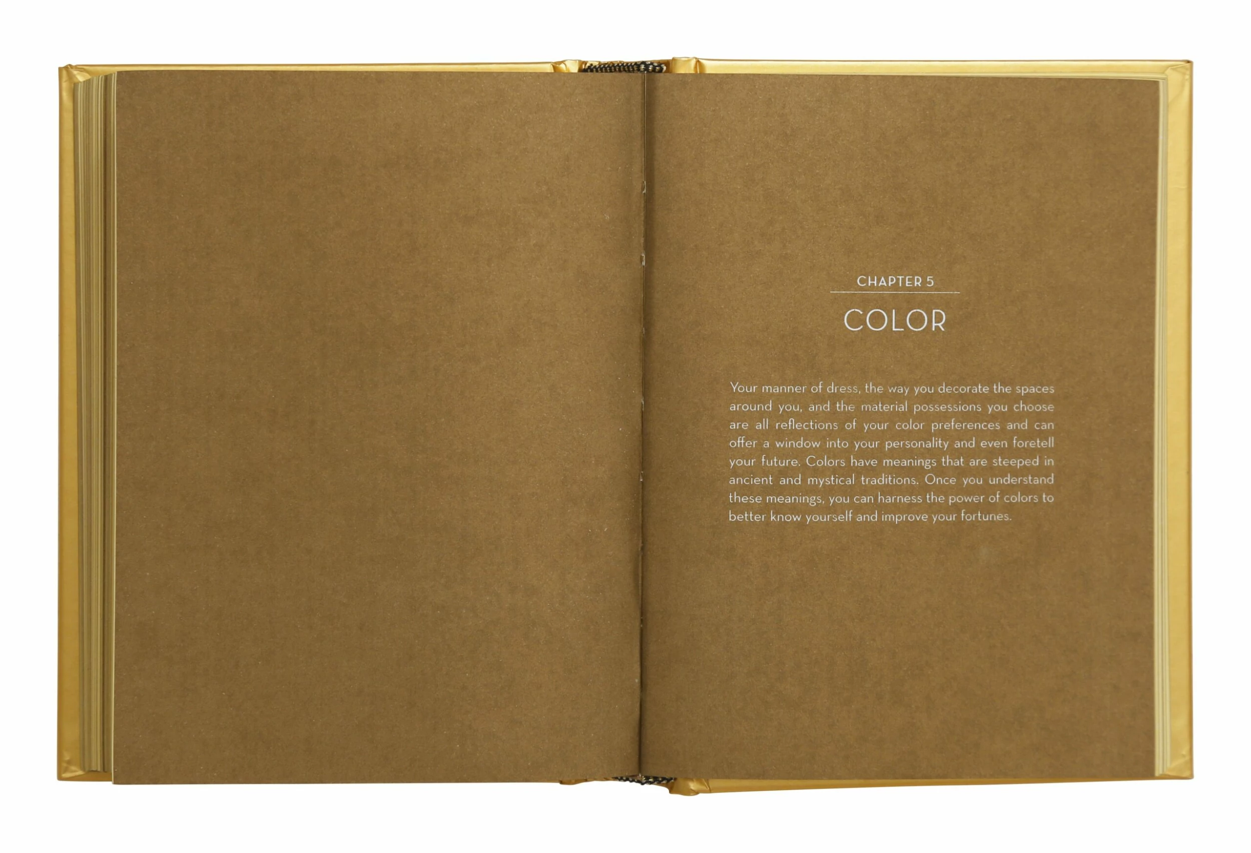 The Golden Book Of Fortune Telling 8 The Golden Book Of Fortune Telling - Image 6