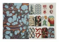 John Derian Wrapping Paper -Home Decoration Sales Shop HG160864 alt4
