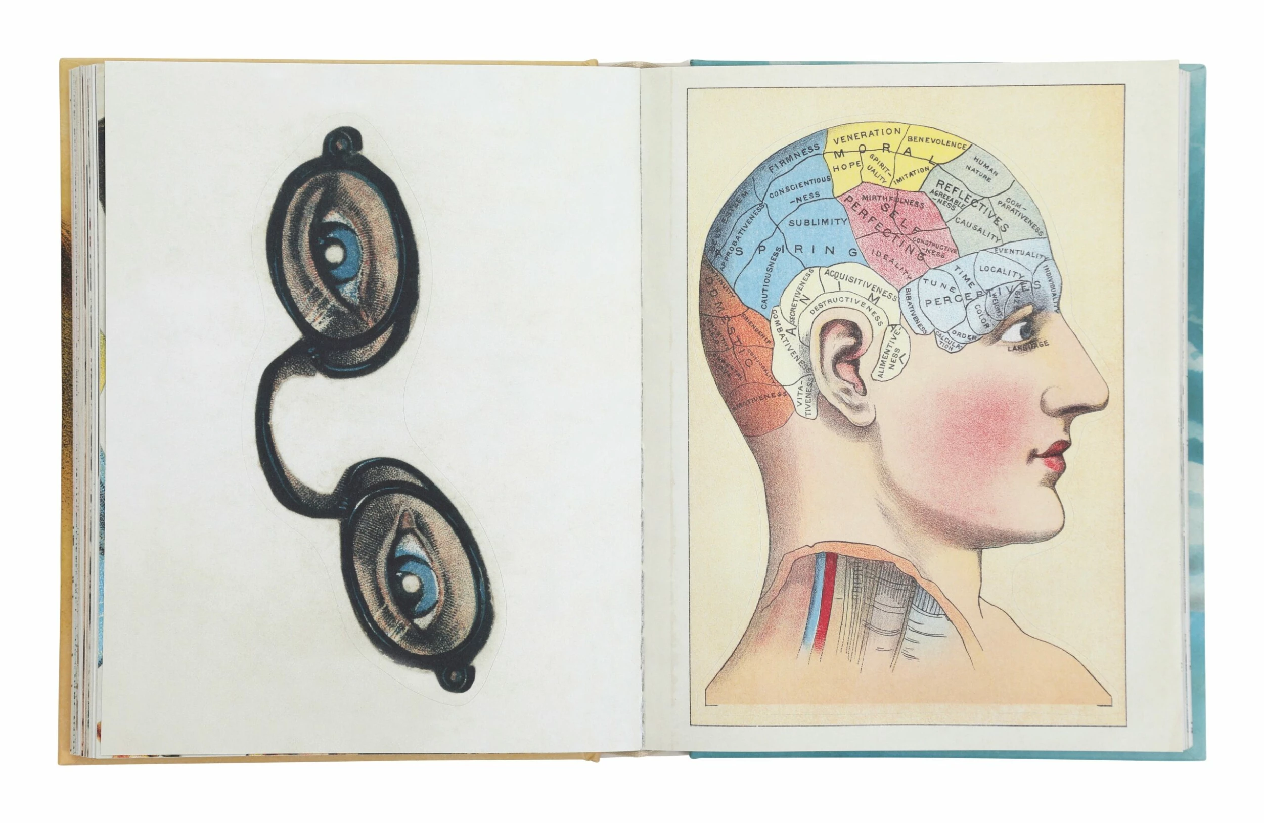 John Derian Sticker Book 5 John Derian Sticker Book - Image 3