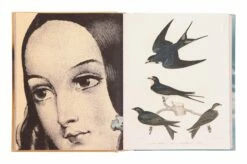 John Derian Sticker Book 14 John Derian Sticker Book -Home Decoration Sales Shop HG160865 alt6