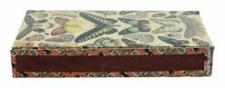 Butterfly Specimens Matches -Home Decoration Sales Shop HG160887 alt2