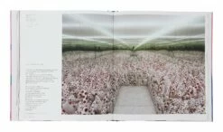 Yayoi Kusama -Home Decoration Sales Shop HG161701 alt4