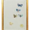 Redon Butterfly Print -Home Decoration Sales Shop HG161828