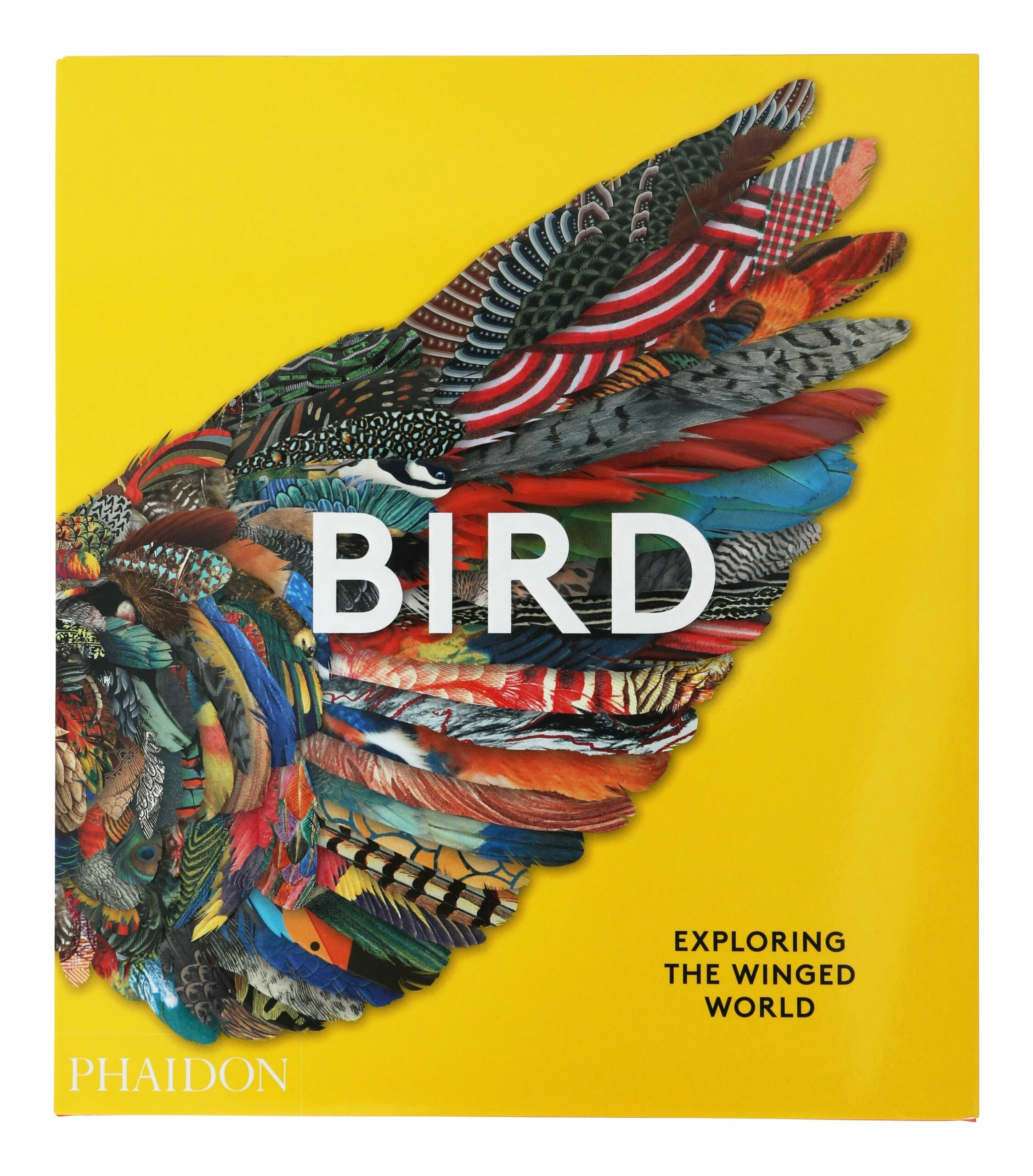 Bird: Exploring The Winged World 3 Bird: Exploring The Winged World