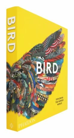 Bird: Exploring The Winged World 9 Bird: Exploring The Winged World -Home Decoration Sales Shop HG162254 alt1