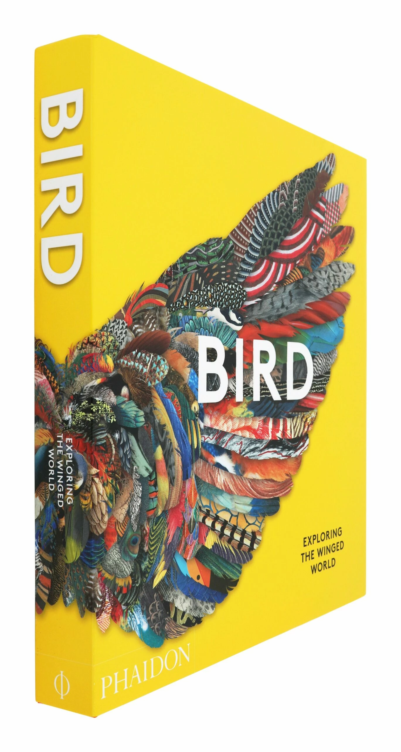 Bird: Exploring The Winged World 5 Bird: Exploring The Winged World - Image 3