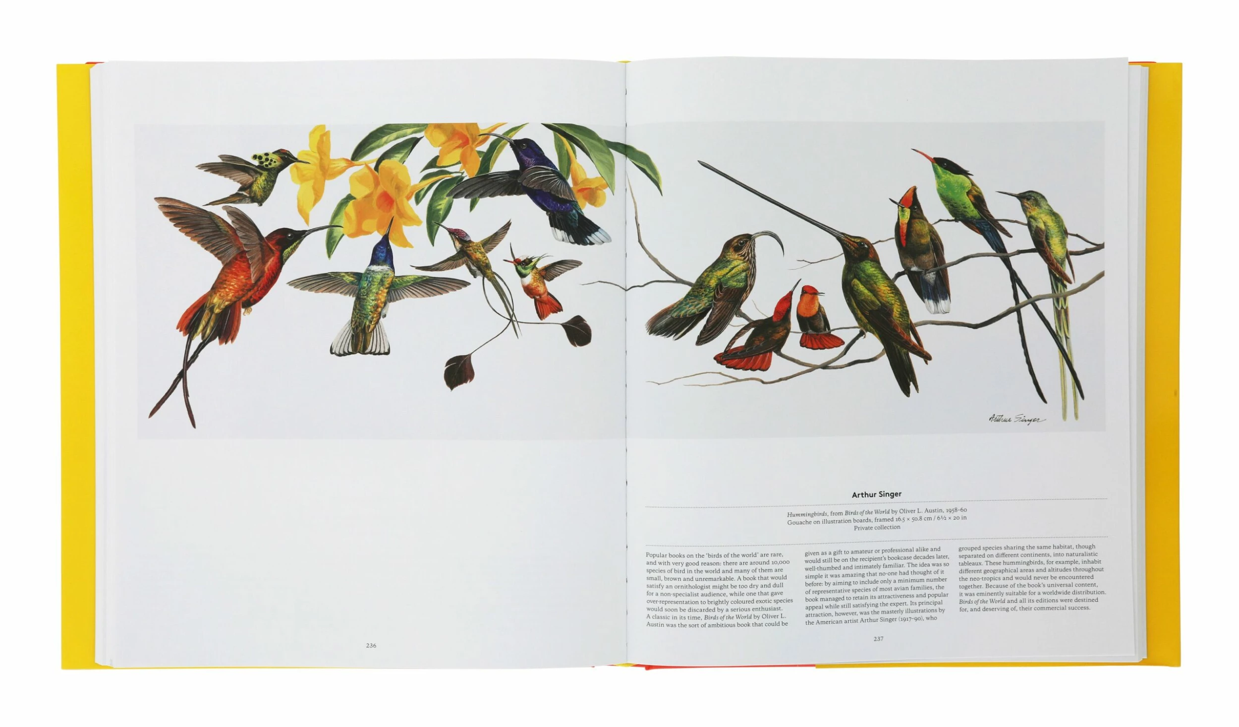 Bird: Exploring The Winged World 4 Bird: Exploring The Winged World - Image 2