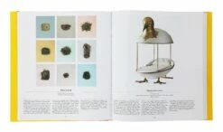 Bird: Exploring The Winged World 10 Bird: Exploring The Winged World -Home Decoration Sales Shop HG162254 alt4