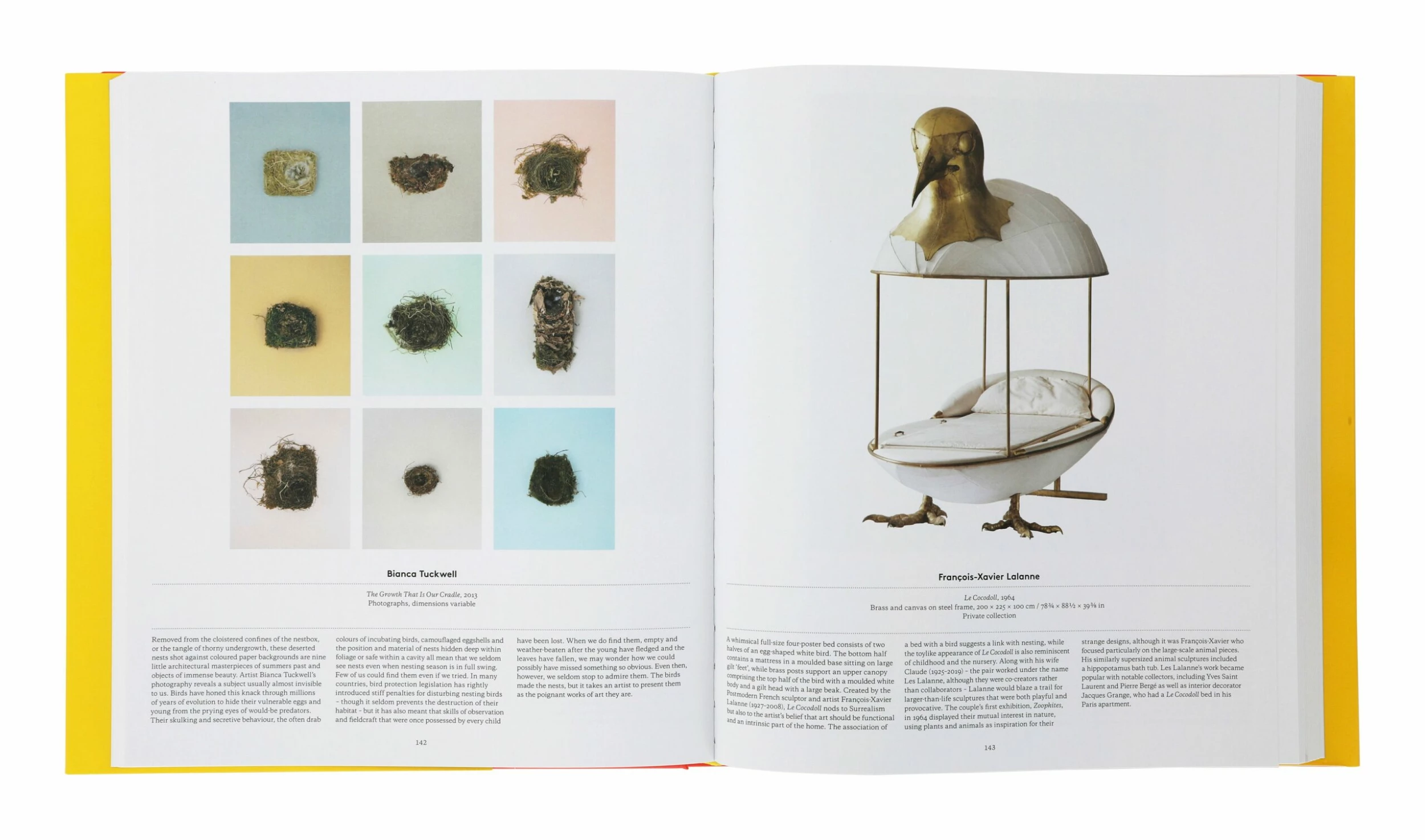 Bird: Exploring The Winged World 6 Bird: Exploring The Winged World - Image 4