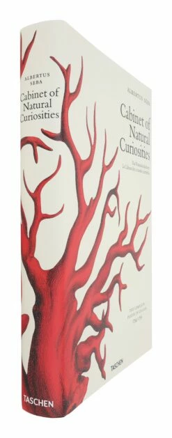 Cabinet Of Natural Curiosities -Home Decoration Sales Shop HG162260