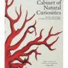 Cabinet Of Natural Curiosities -Home Decoration Sales Shop HG162260 alt1