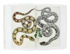 Cabinet Of Natural Curiosities -Home Decoration Sales Shop HG162260 alt2