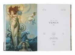 Astrology: The Library Of Esoterica 13 Astrology: The Library Of Esoterica -Home Decoration Sales Shop HG162262 alt2