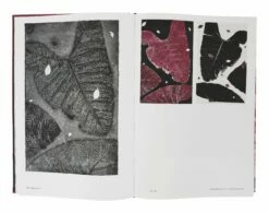 Botanica: Monotypes 2016-2020 -Home Decoration Sales Shop HG162264 alt2