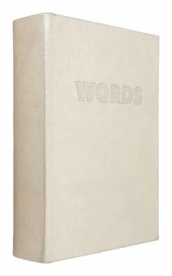 Vermeil Leather Dictionary & Thesaurus 13 Vermeil Leather Dictionary & Thesaurus -Home Decoration Sales Shop HG162342 alt1