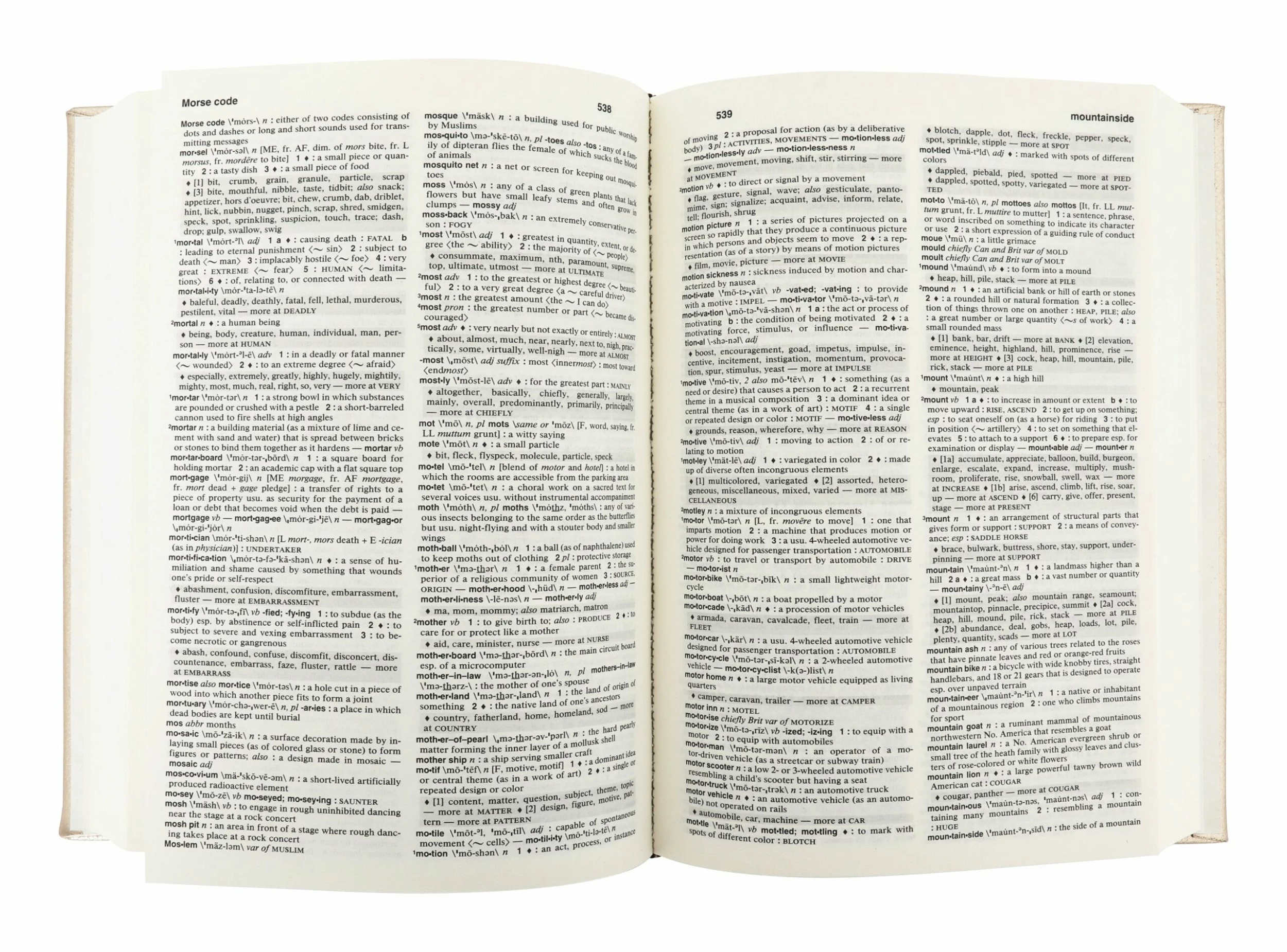 Vermeil Leather Dictionary & Thesaurus 8 Vermeil Leather Dictionary & Thesaurus - Image 6