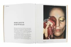 Feast For The Eyes 11 Feast For The Eyes -Home Decoration Sales Shop HG162503 alt4