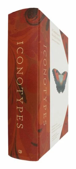 Iconotypes: A Compendium Of Butterflies & Moths -Home Decoration Sales Shop HG162558
