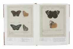 Iconotypes: A Compendium Of Butterflies & Moths -Home Decoration Sales Shop HG162558 alt2