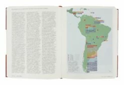 Iconotypes: A Compendium Of Butterflies & Moths -Home Decoration Sales Shop HG162558 alt3