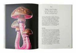 The Future Is Fungi -Home Decoration Sales Shop HG162987 alt4