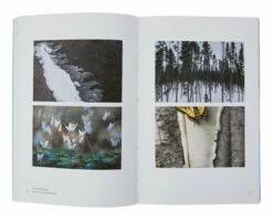 The Mindful Photographer -Home Decoration Sales Shop HG162989 alt4