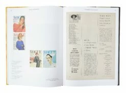 Joan Didion: What She Means -Home Decoration Sales Shop HG163018 alt2