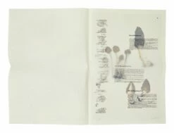 John Cage: A Mycological Foray -Home Decoration Sales Shop HG163020 alt14