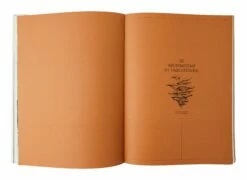 John Cage: A Mycological Foray -Home Decoration Sales Shop HG163020 alt7