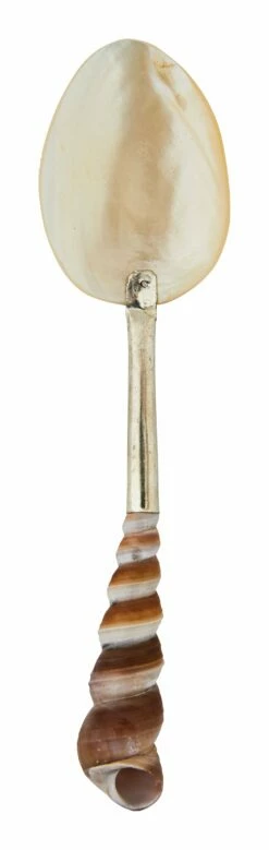 Shell Spoons 22 Shell Spoons -Home Decoration Sales Shop HG164042