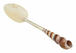 Shell Spoons 25 Shell Spoons -Home Decoration Sales Shop HG164042 alt3