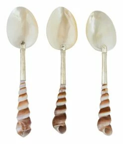 Shell Spoons 27 Shell Spoons -Home Decoration Sales Shop HG164042 alt5