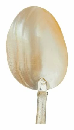 Shell Spoons 30 Shell Spoons -Home Decoration Sales Shop HG164043 alt1
