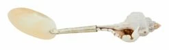 Shell Spoons 34 Shell Spoons -Home Decoration Sales Shop HG164043 alt5