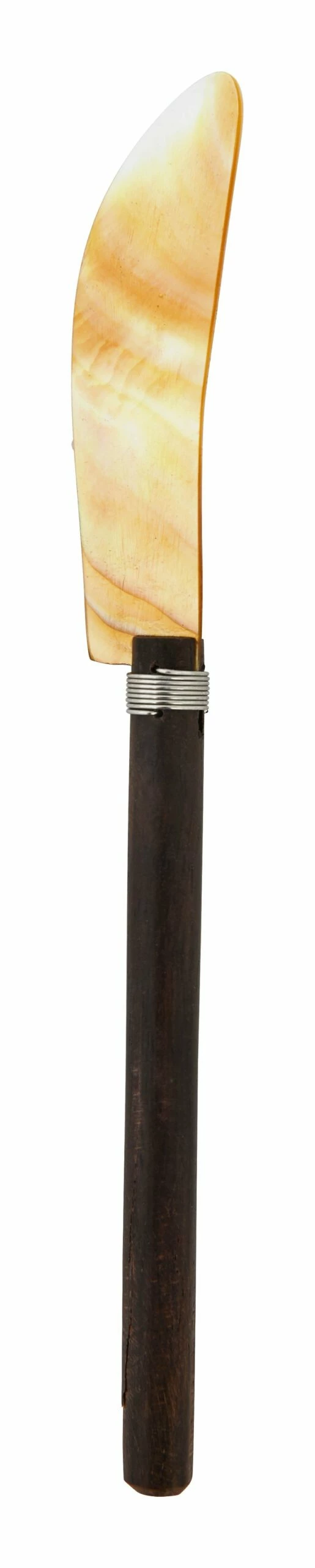 Shell Knife 3 Shell Knife