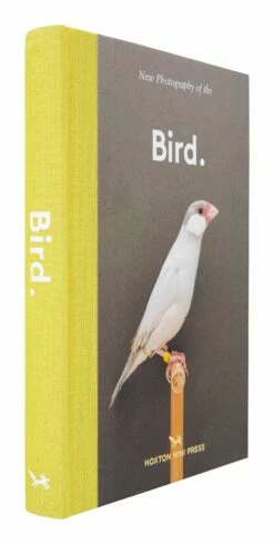 New Photography Of The Bird -Home Decoration Sales Shop HG164186 alt1