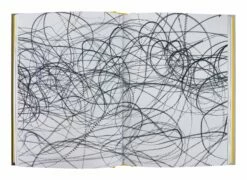 New Photography Of The Bird -Home Decoration Sales Shop HG164186 alt3