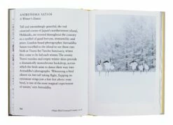 New Photography Of The Bird -Home Decoration Sales Shop HG164186 alt4