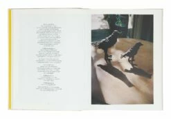 Rose Uniak At Work -Home Decoration Sales Shop HG165511 alt4