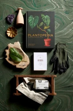 Brass Flower Incense Holder -Home Decoration Sales Shop Jayson Holiday 21 16410 521d60eb ca0c 428a a77a e98ac7d84290