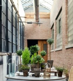 Taj Pedestals -Home Decoration Sales Shop Jayson Locations 2 23 0975 1 8c94af03 57f5 4af8 a3dc a892469d098c